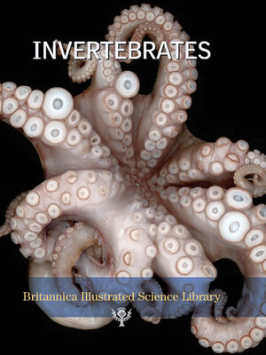 cover image of Invertebrates